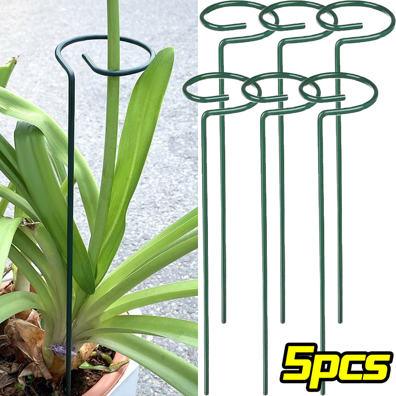 Florist Supp - Anillo de estaca de soporte para