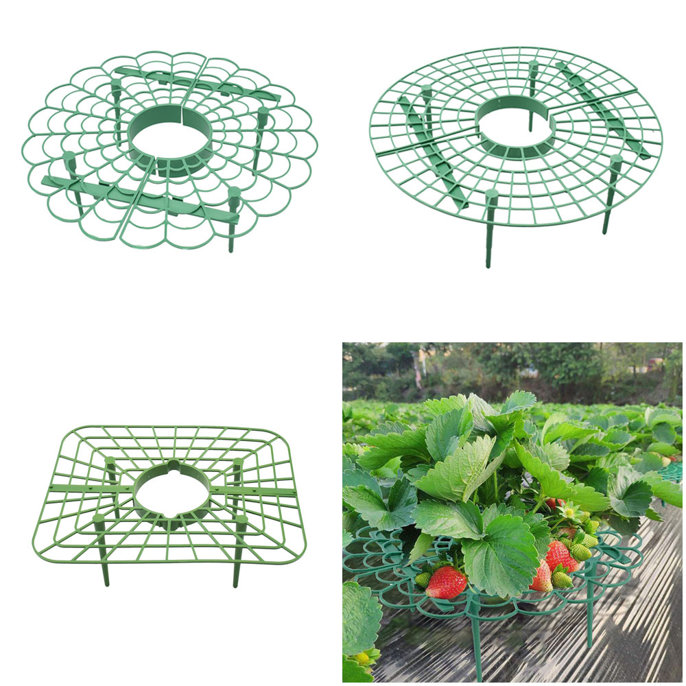 Florist Supp - Soporte de marco para fresa, estante