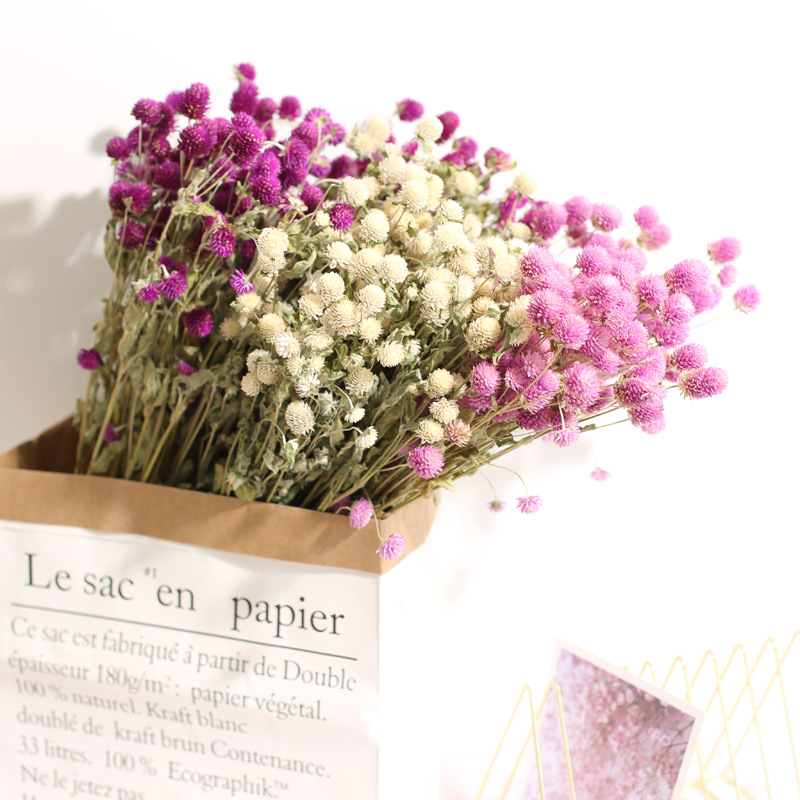 Natural Florist Supply - Ramo de flores de amaranto preservadas