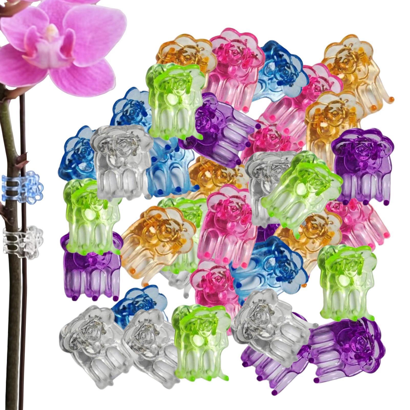 Florist Supp - Clips para Orquídeas, 60 Piezas, Abrazaderas