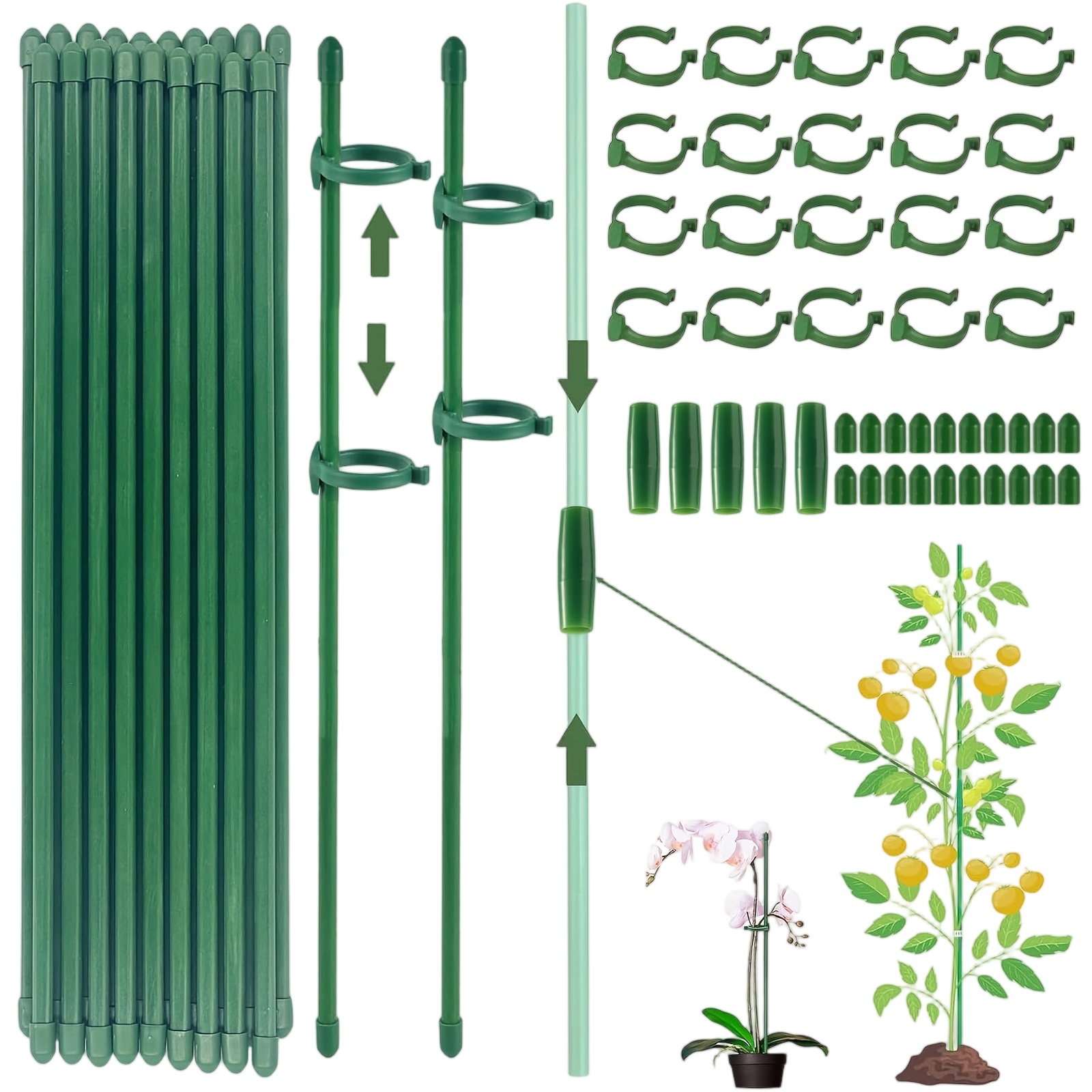 Florist Supp - Soportes para Plantas, Varillas para Tallos