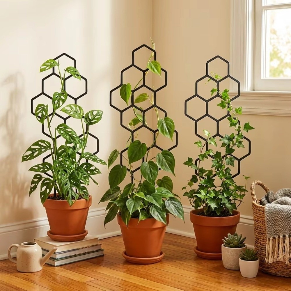 Florist Supp - Soporte de Plástico Antioxidante con Diseño