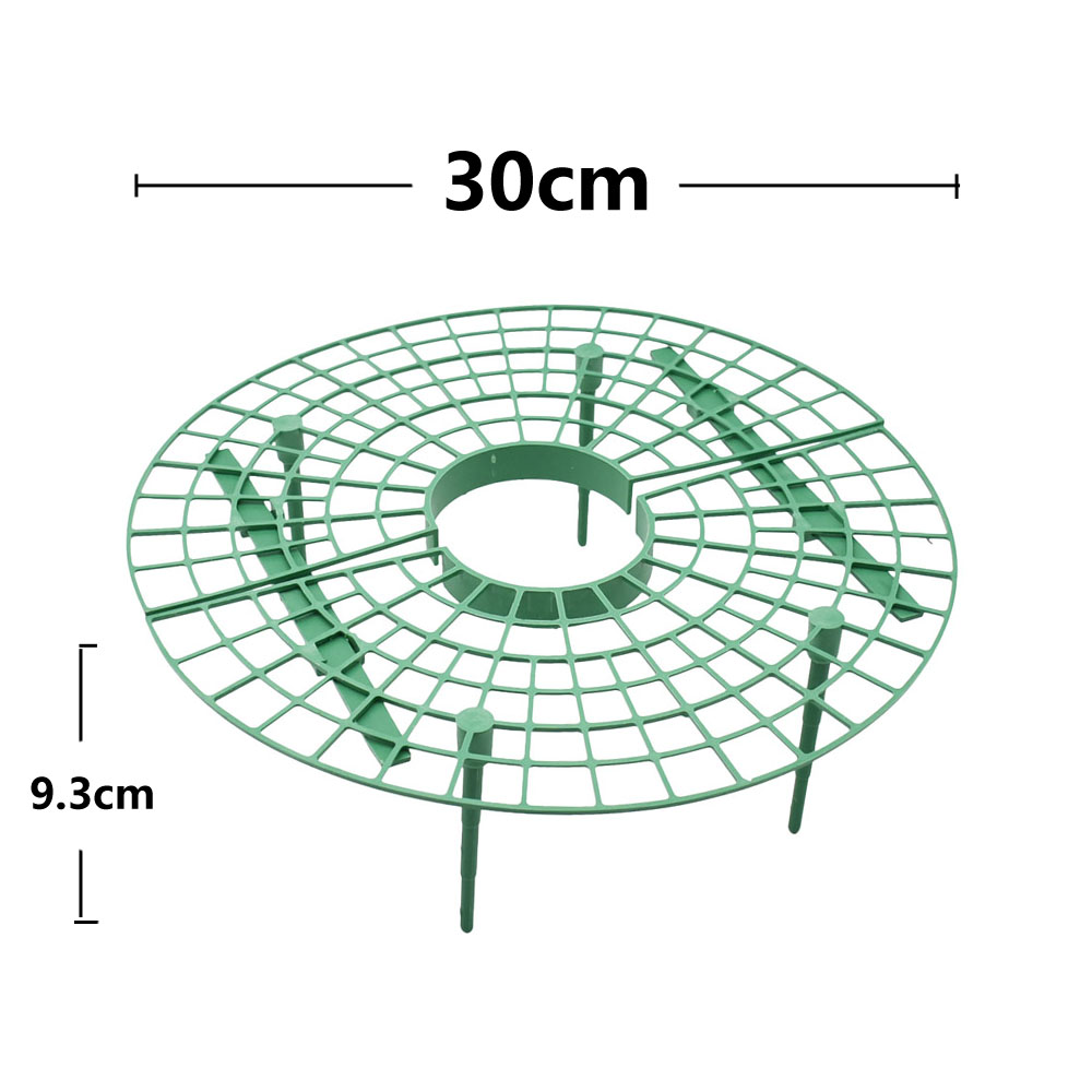 Soporte de marco para fresa, e - Florist Supp reseña y precio