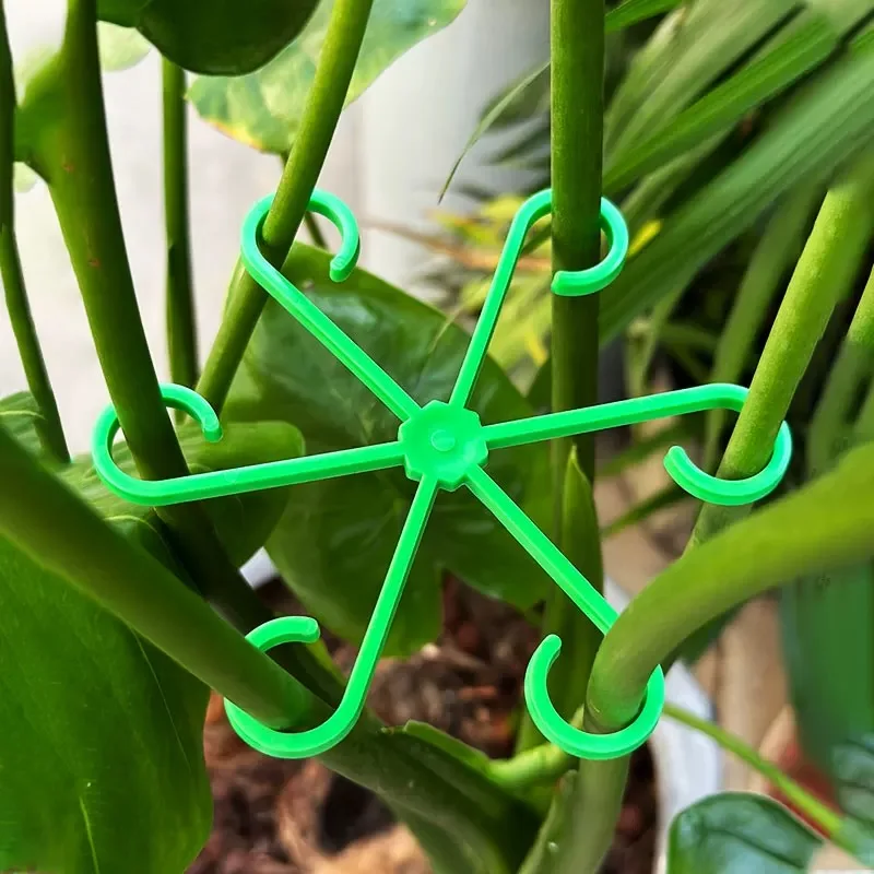 Estacas de soporte para tallo  - Florist Supp reseña y precio