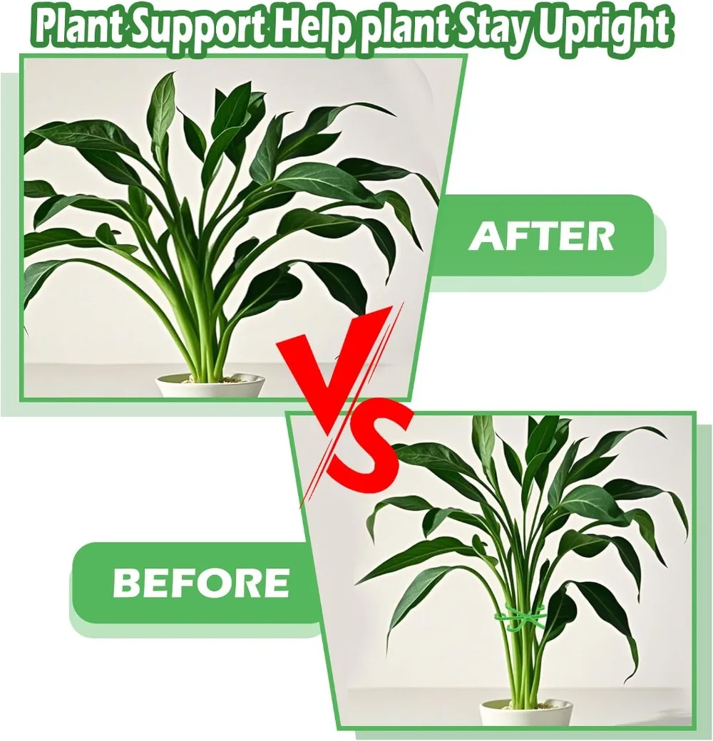 Estacas de soporte para tallo  - Florist Supp reseña y precio