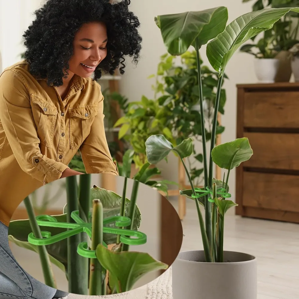 Estacas de soporte para tallo  - Florist Supp reseña y precio