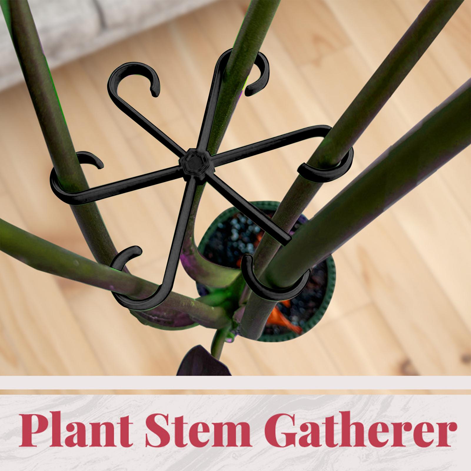 4 clips de soporte para tallos - Florist Supp reseña y precio