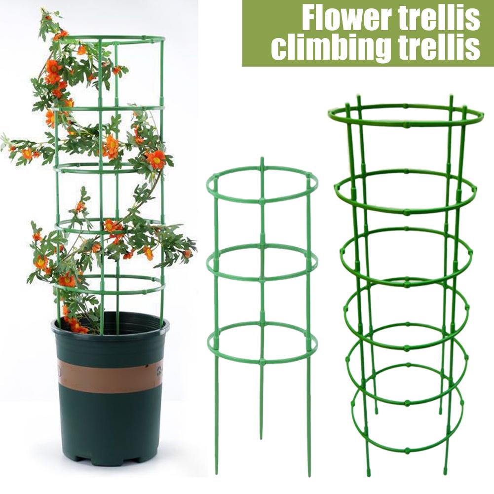 Soportes para Tomates, Columna - Florist Supp reseña y precio