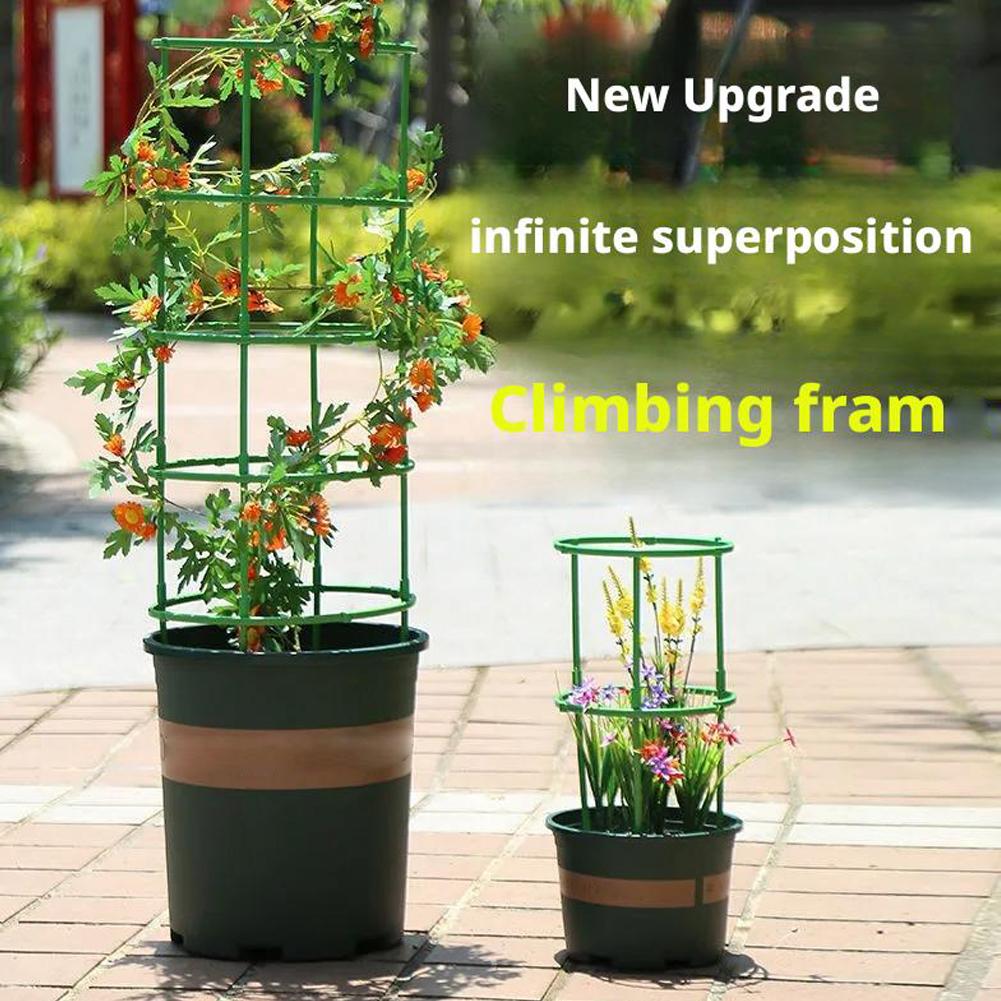 Soportes para Tomates, Columna - Florist Supp reseña y precio