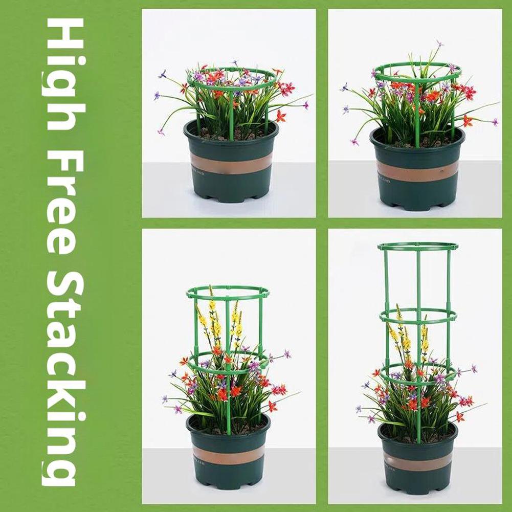 Soportes para Tomates, Columna - Florist Supp reseña y precio