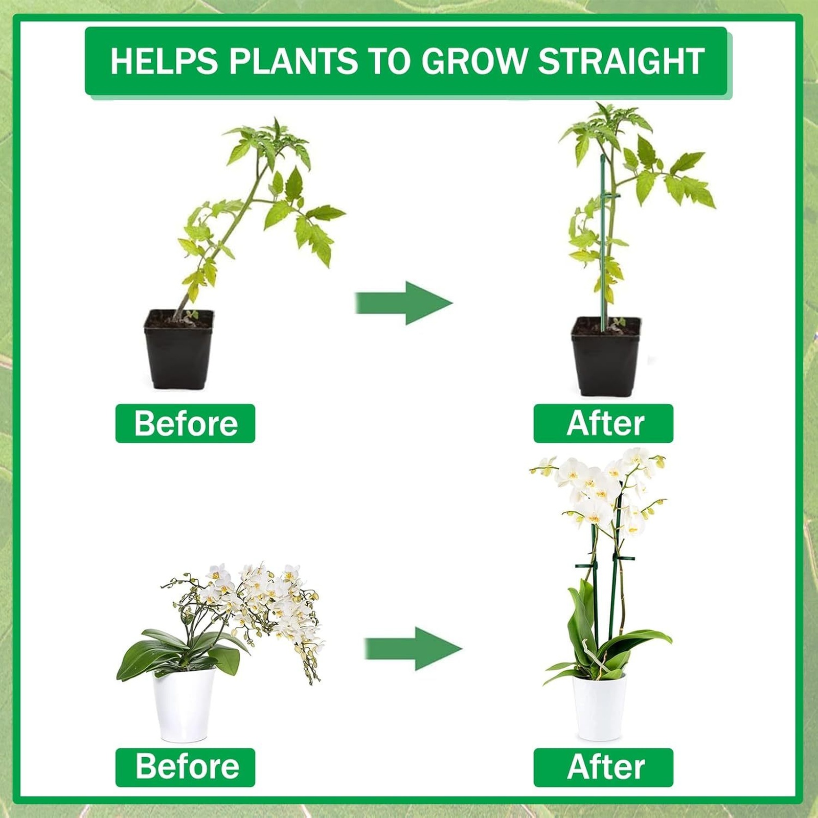 Soportes para Plantas, Varilla - Florist Supp reseña y precio