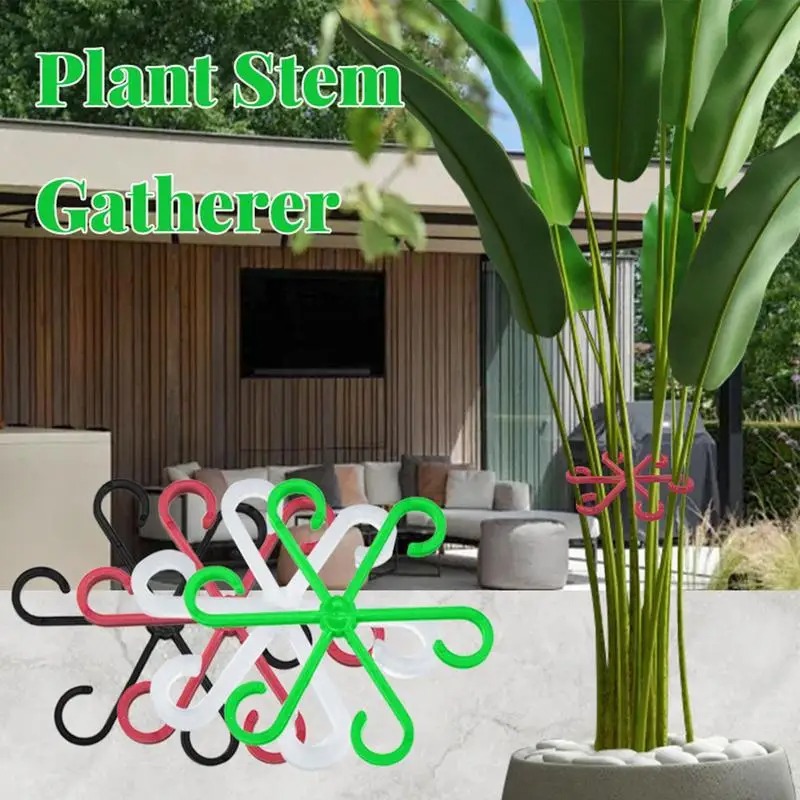 Soporte para Tallos de Plantas - Florist Supp reseña y precio