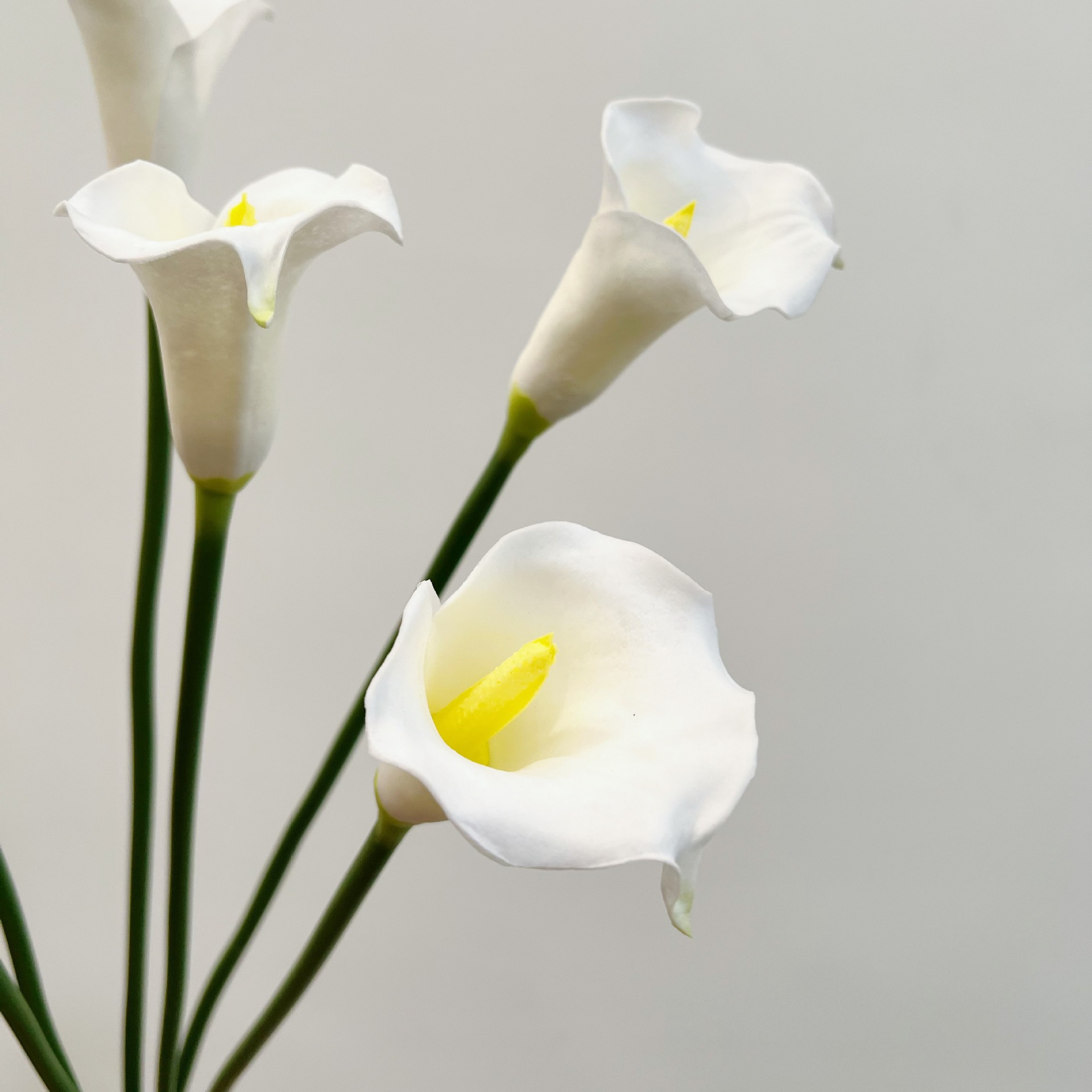 Flor Artificial de Lirio de Ca - Florist Supp reseña y precio