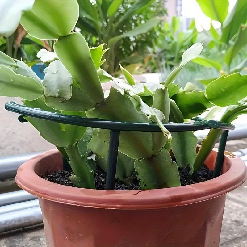 30-1PCS Soporte de Plástico Se - Florist Supp reseña y precio