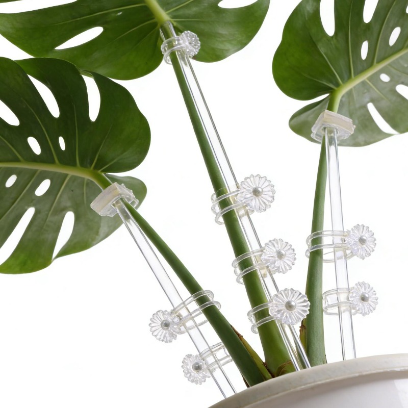 Estaca de Soporte Transparente - Florist Supp reseña y precio
