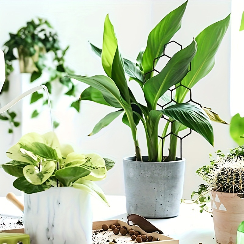 1 unidad de soporte para plant - Florist Supp reseña y precio