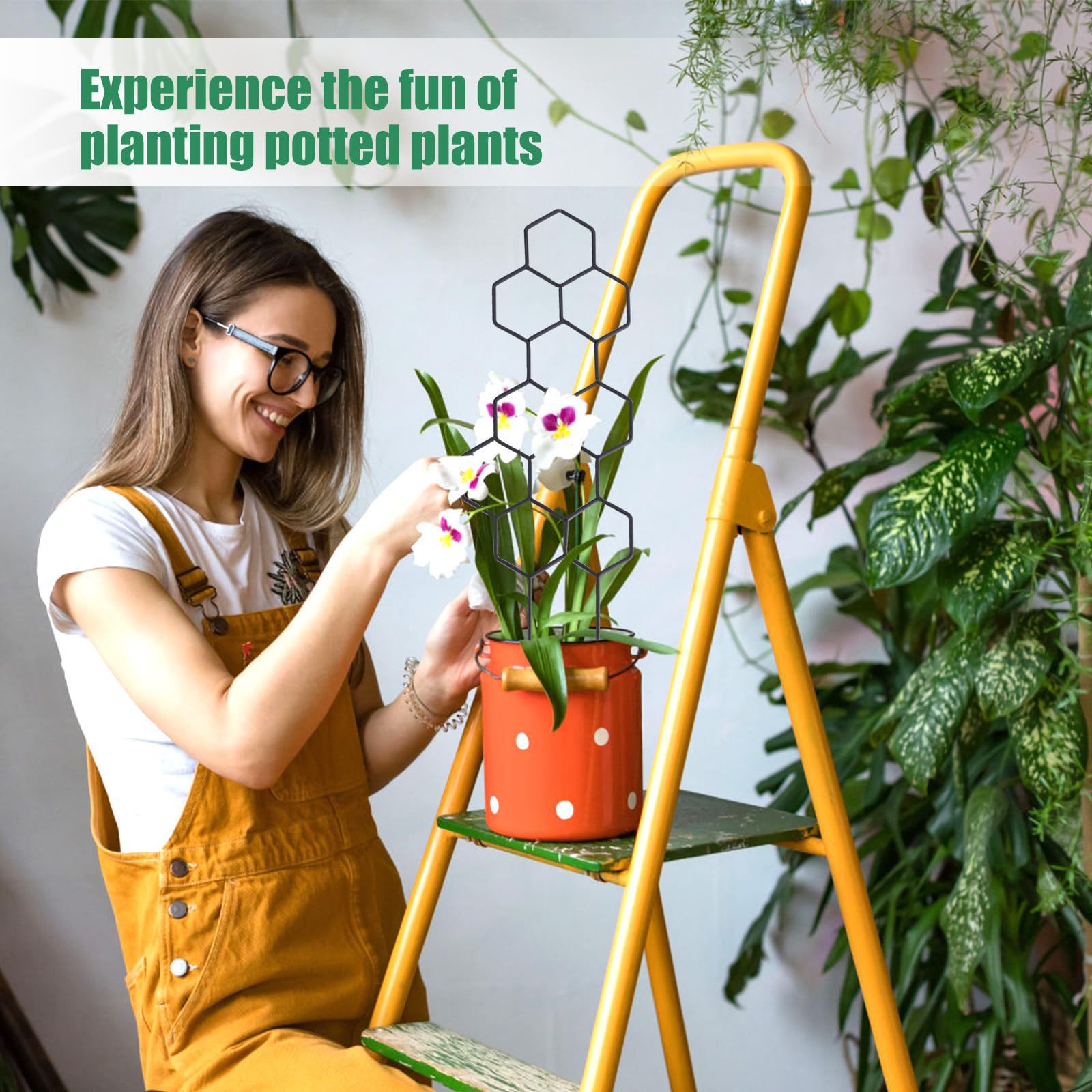 1 unidad de soporte para plant - Florist Supp reseña y precio