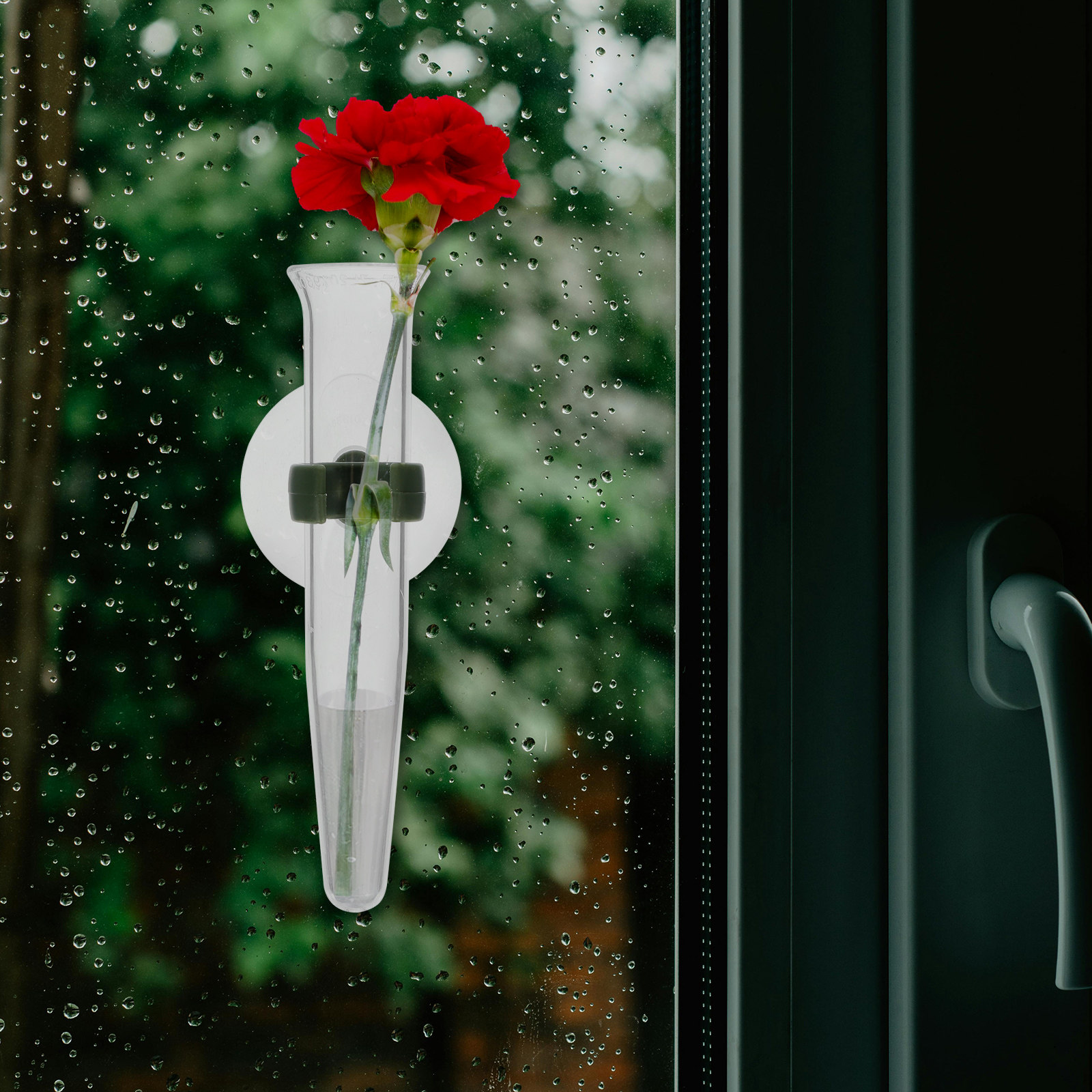 8 Tubos de Almacenamiento con  - Longs Florist Supply reseña y precio